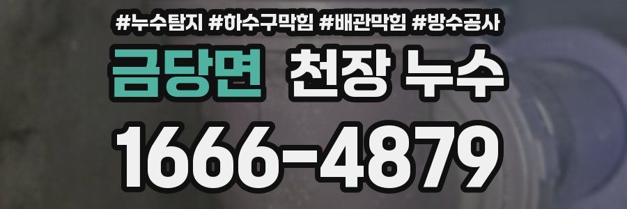 금당면 천장 누수