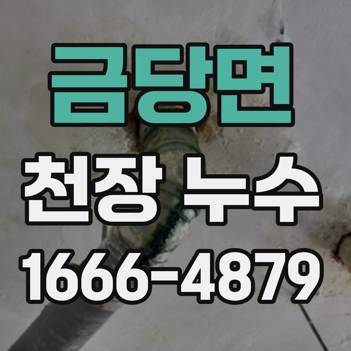 금당면 천장 누수