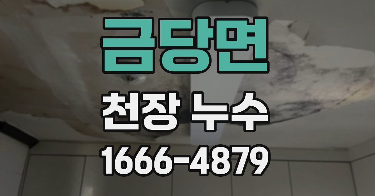 금당면 천장 누수