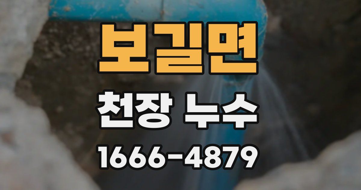 보길면 천장 누수