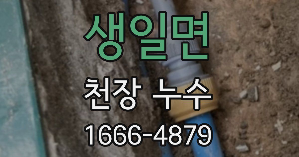 생일면 천장 누수
