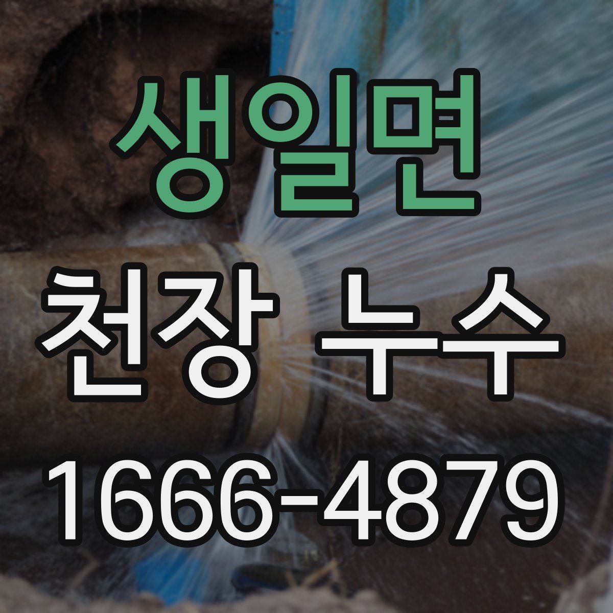 생일면 천장 누수