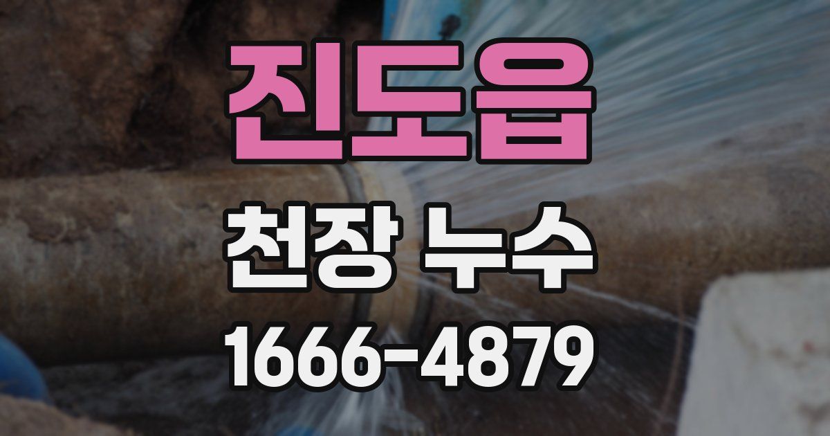 진도읍 천장 누수