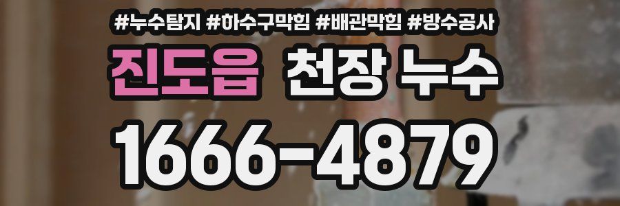 진도읍 천장 누수