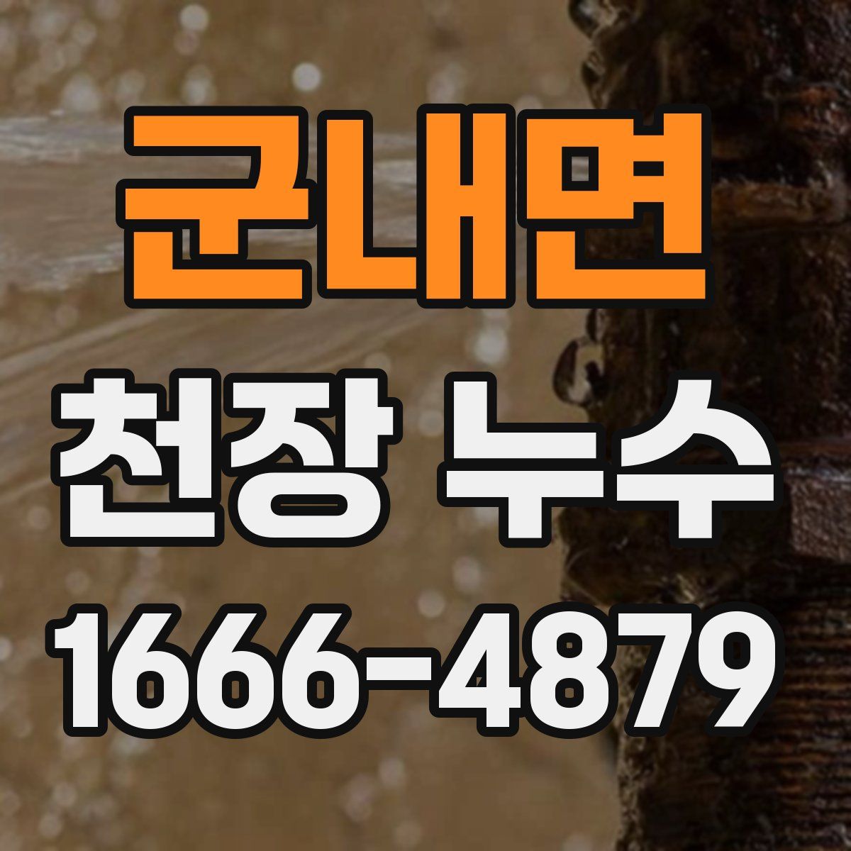 군내면 천장 누수