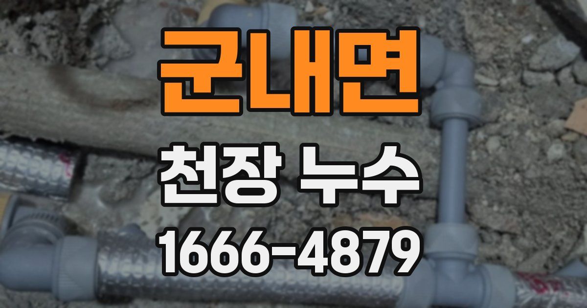 군내면 천장 누수