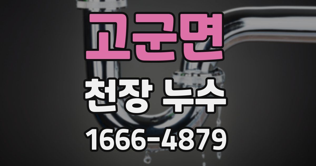 고군면 천장 누수