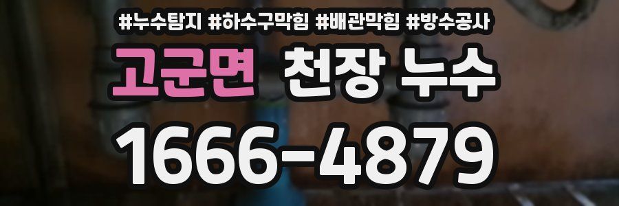 고군면 천장 누수