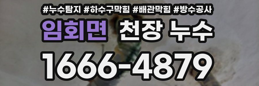 임회면 천장 누수