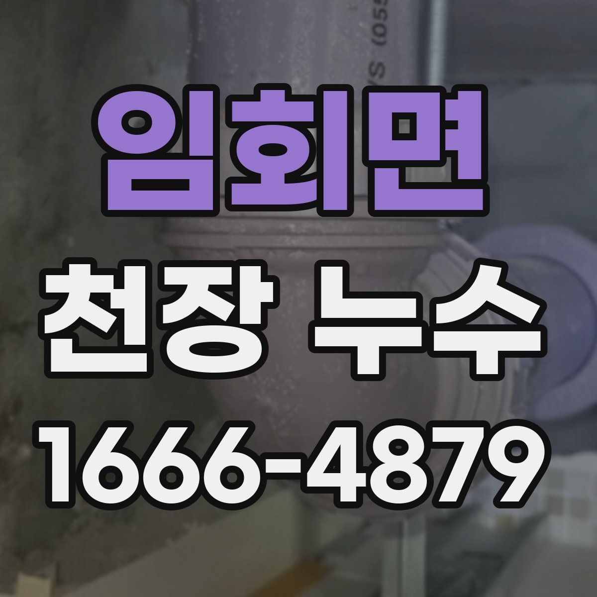 임회면 천장 누수