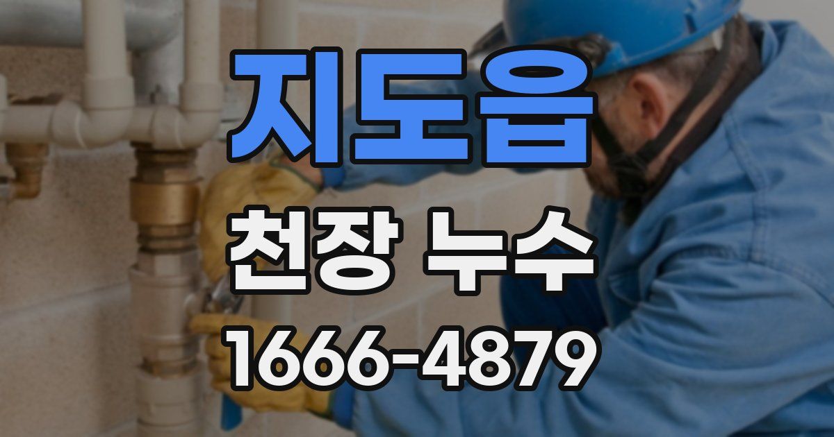 지도읍 천장 누수