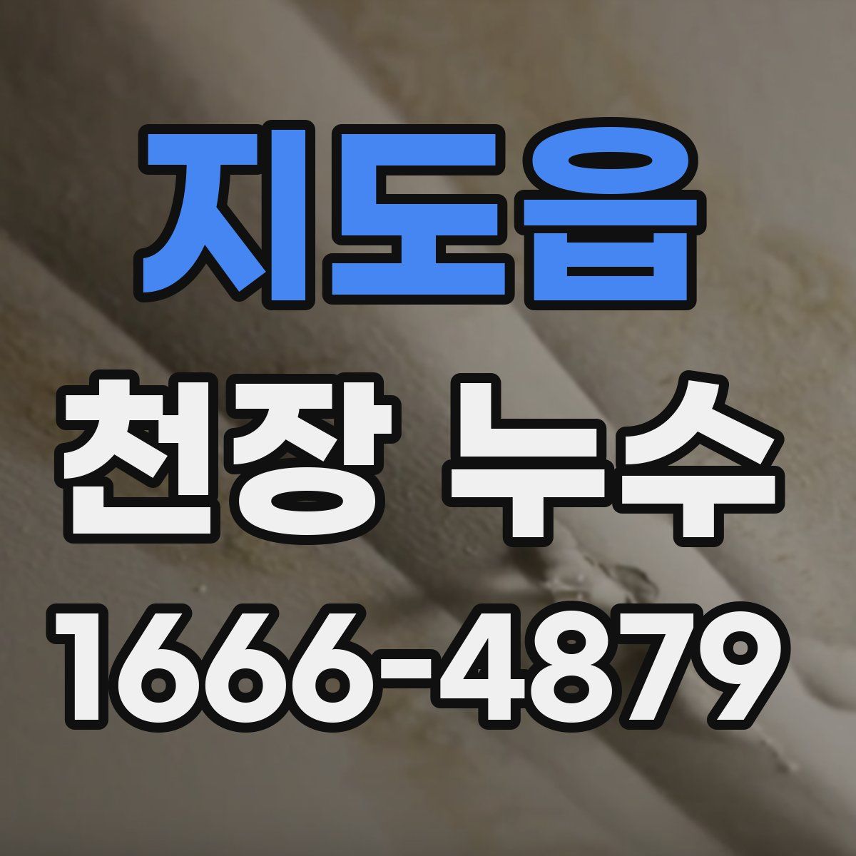 지도읍 천장 누수