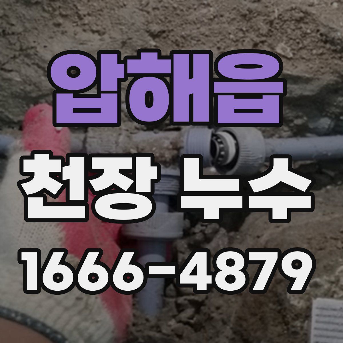 압해읍 천장 누수