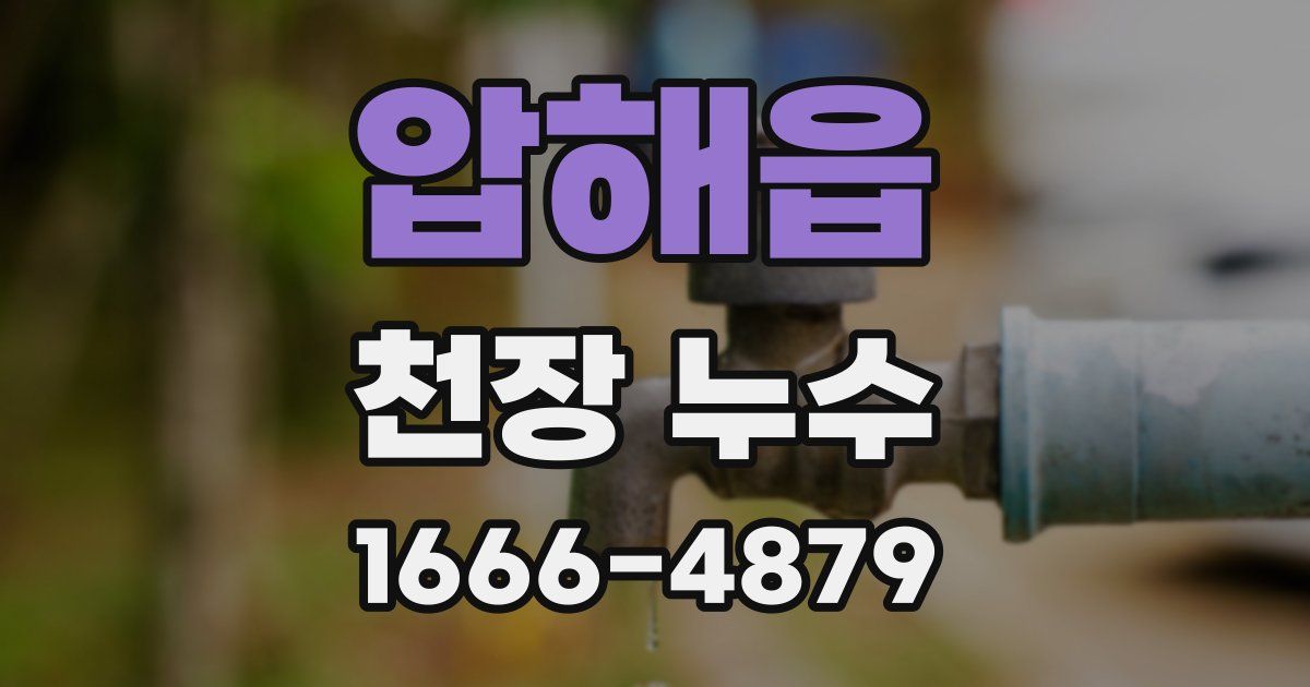 압해읍 천장 누수