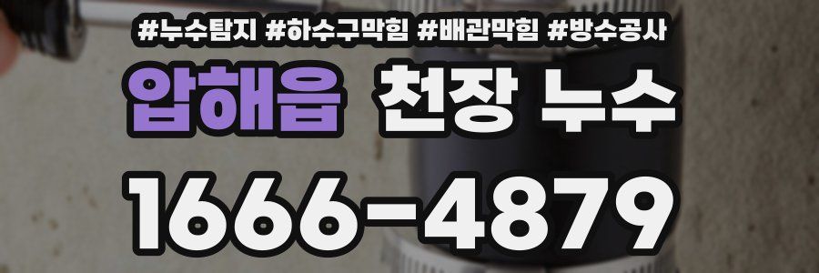 압해읍 천장 누수
