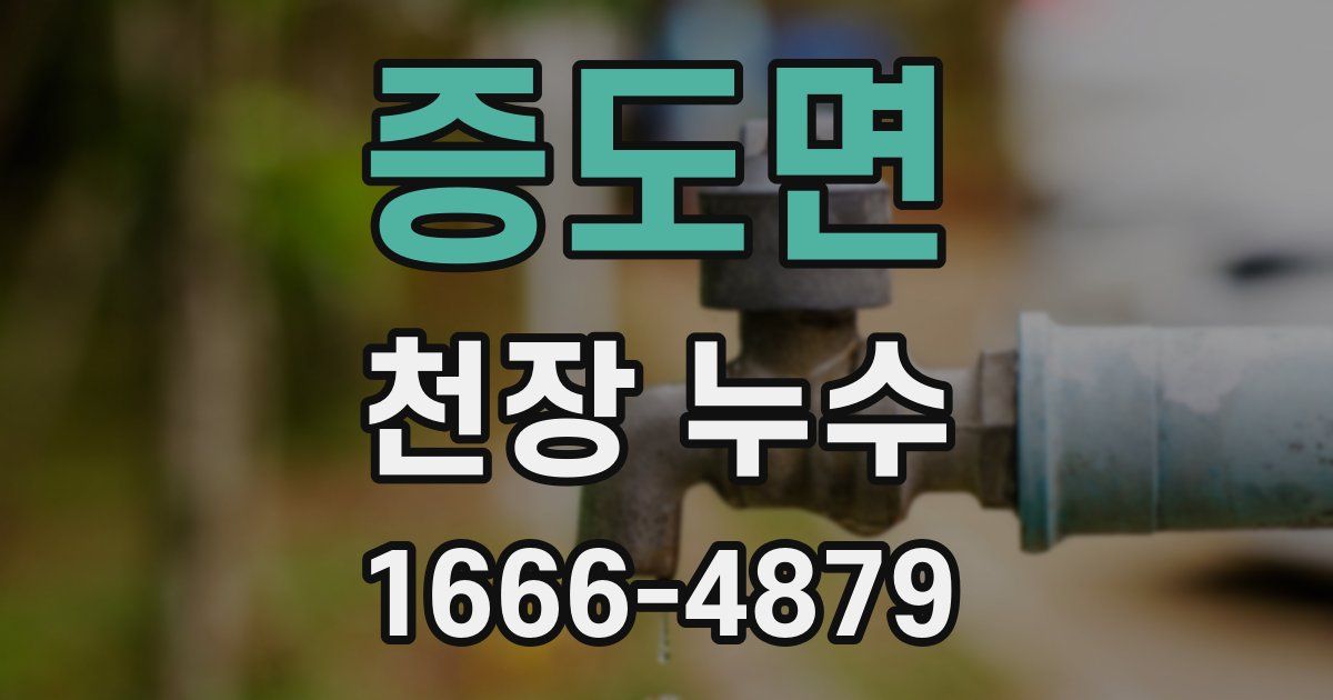 증도면 천장 누수