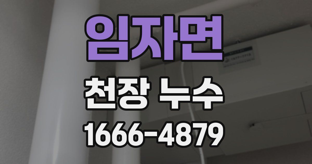 임자면 천장 누수