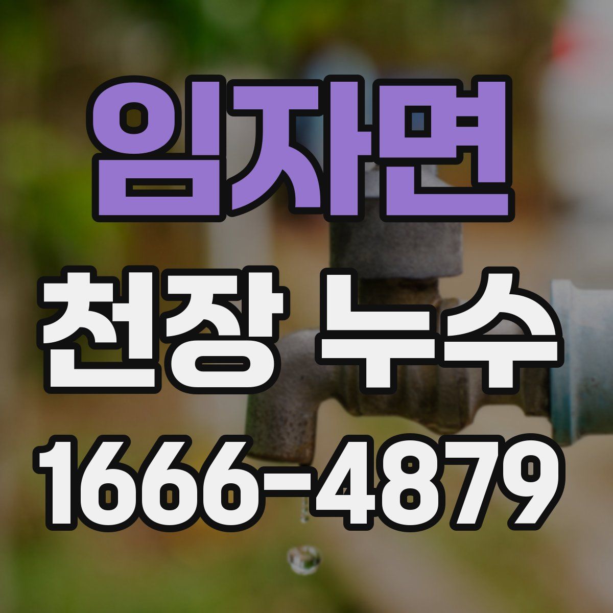 임자면 천장 누수