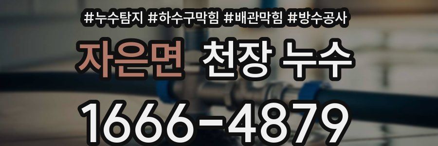 자은면 천장 누수
