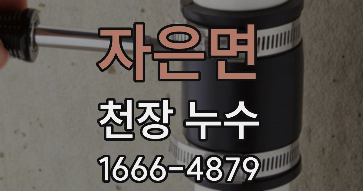 자은면 천장 누수
