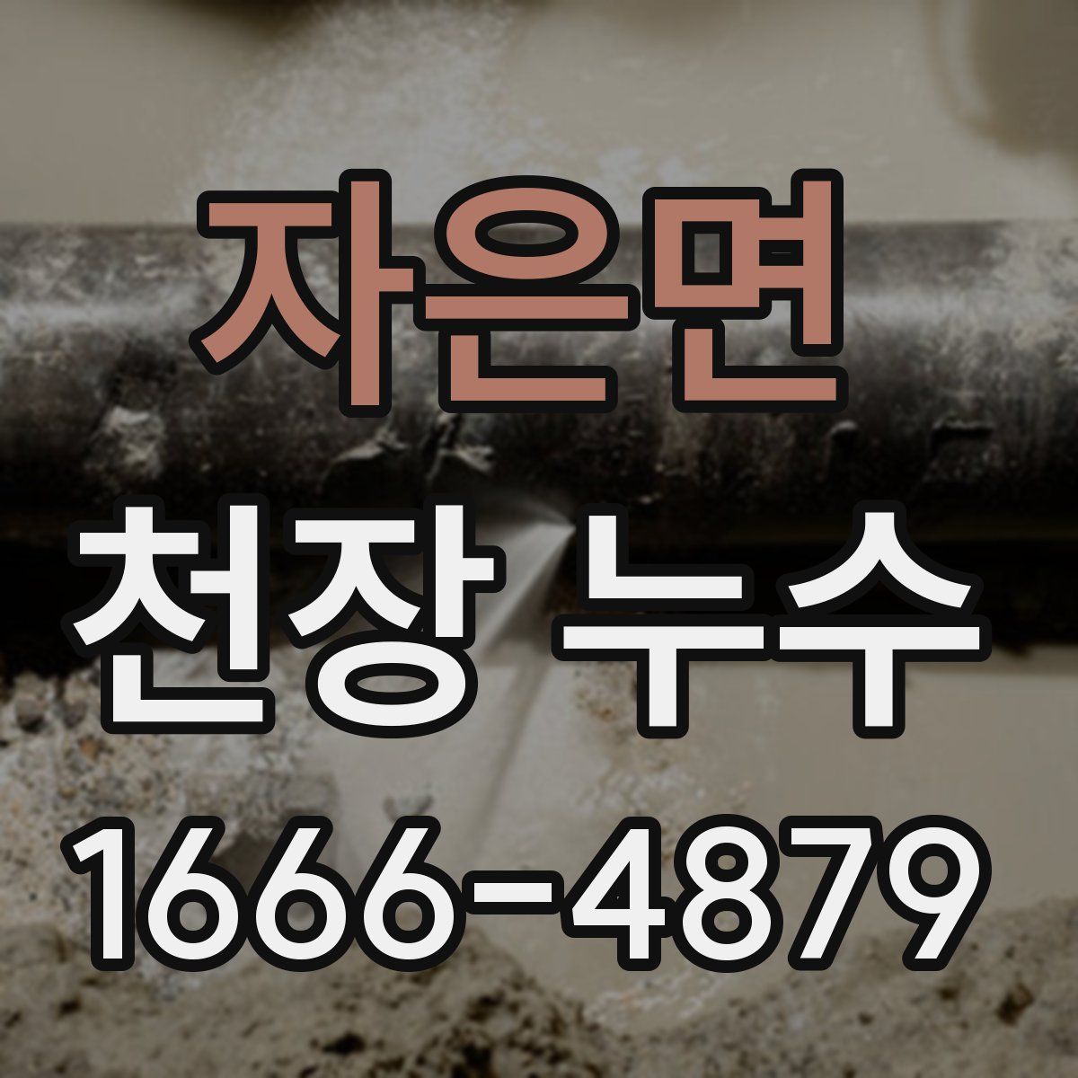 자은면 천장 누수
