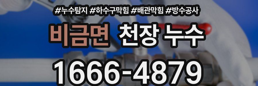 비금면 천장 누수