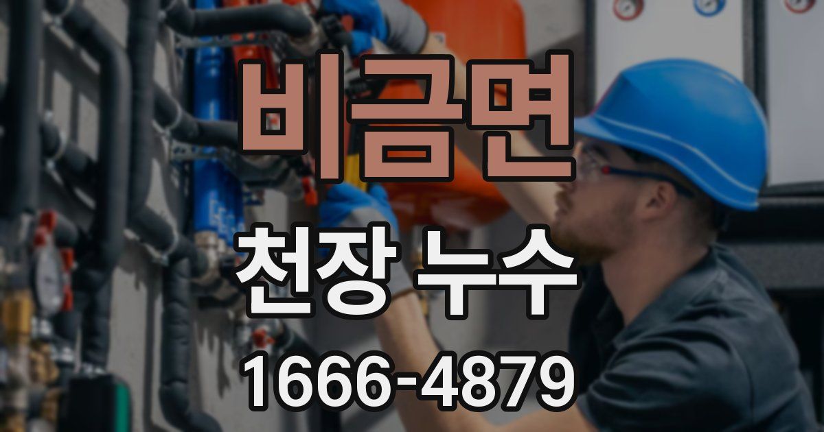 비금면 천장 누수