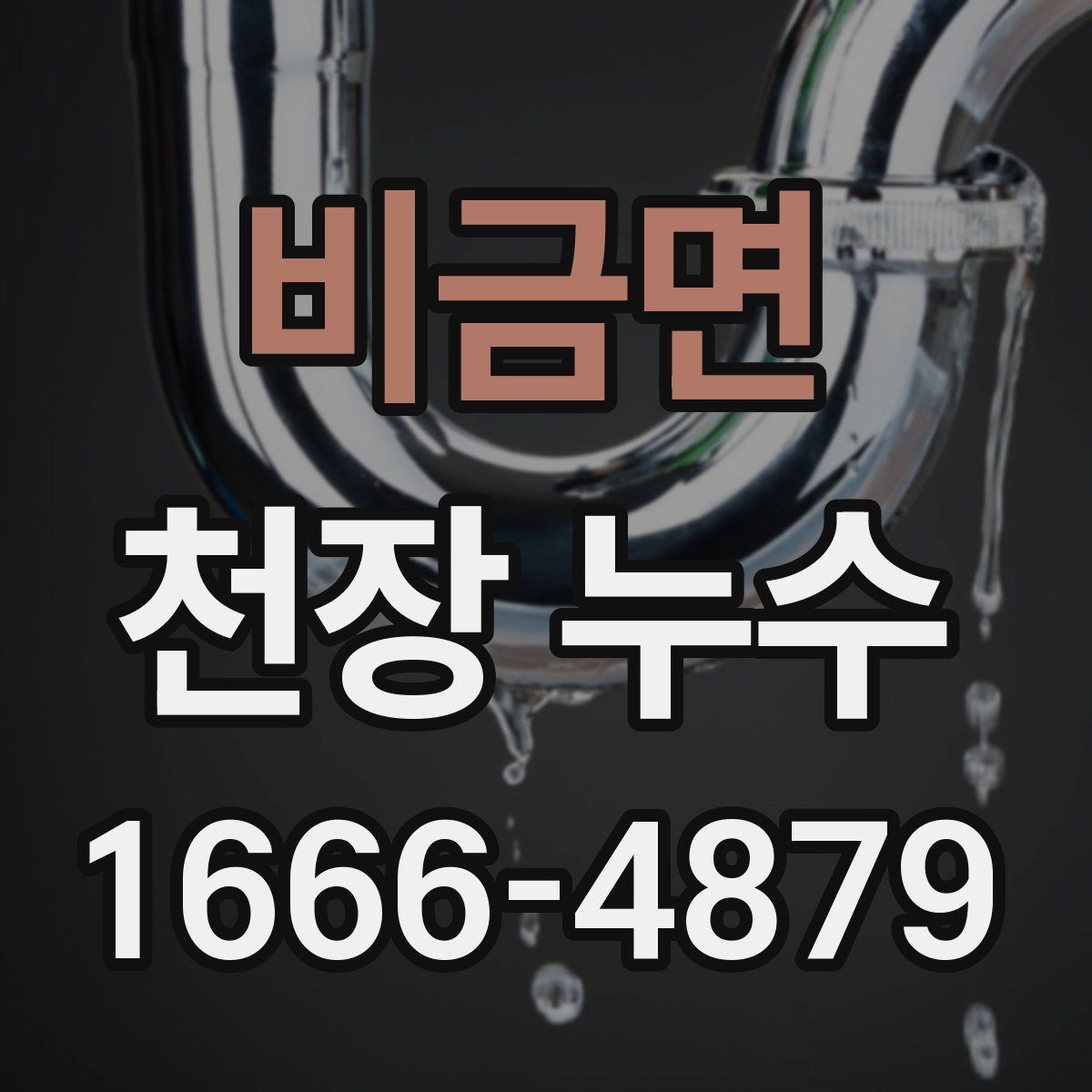 비금면 천장 누수