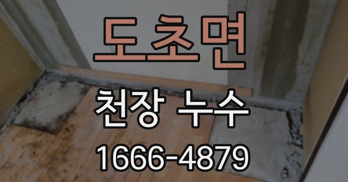 도초면 천장 누수
