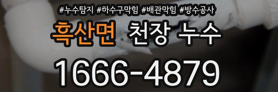흑산면 천장 누수