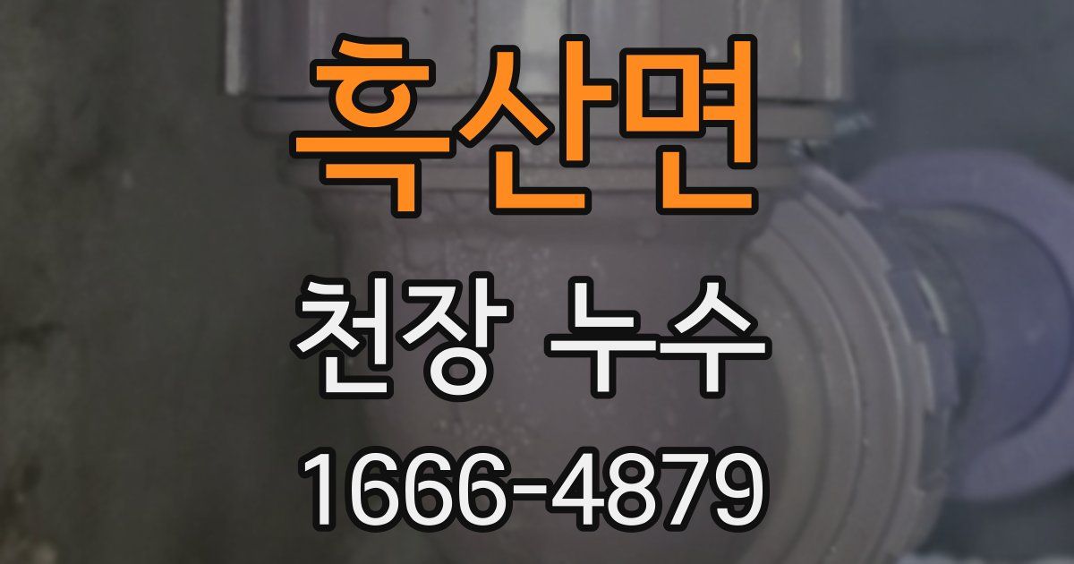 흑산면 천장 누수