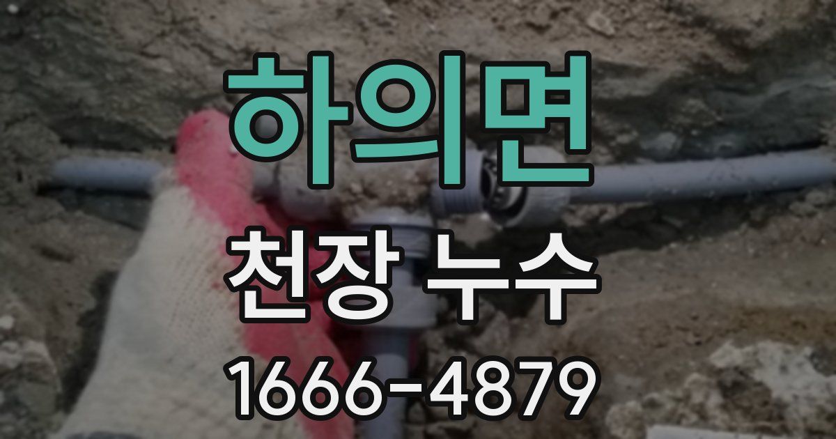 하의면 천장 누수