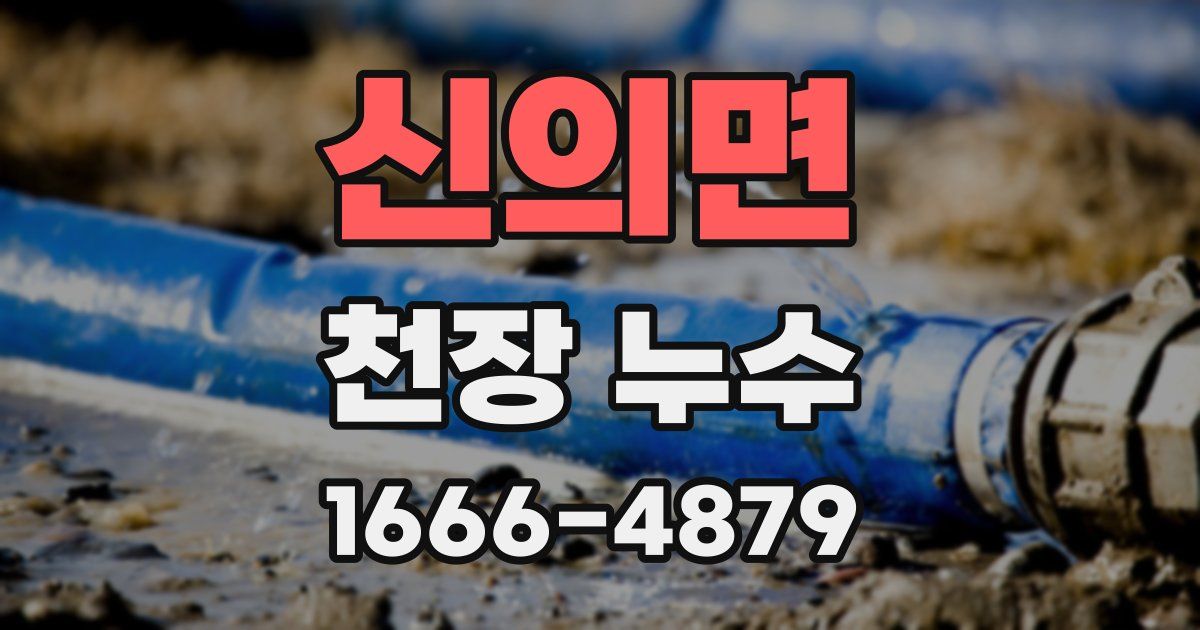 신의면 천장 누수