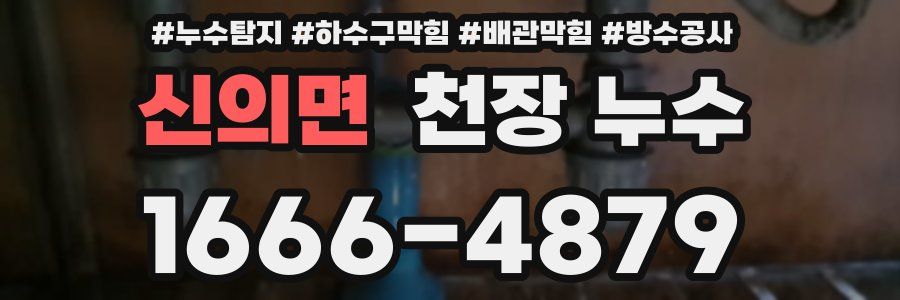신의면 천장 누수
