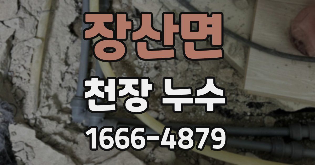 장산면 천장 누수