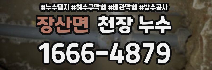 장산면 천장 누수