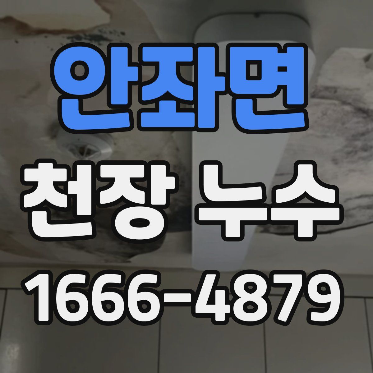 안좌면 천장 누수