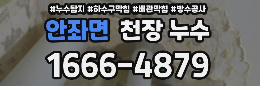 안좌면 천장 누수
