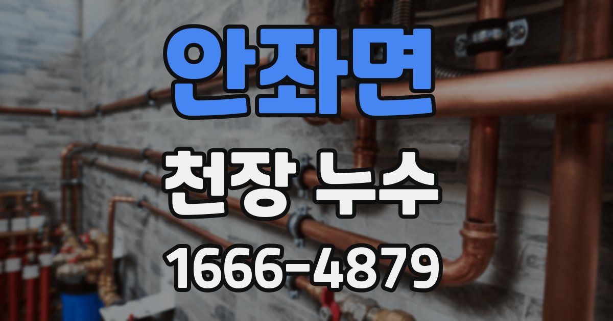 안좌면 천장 누수