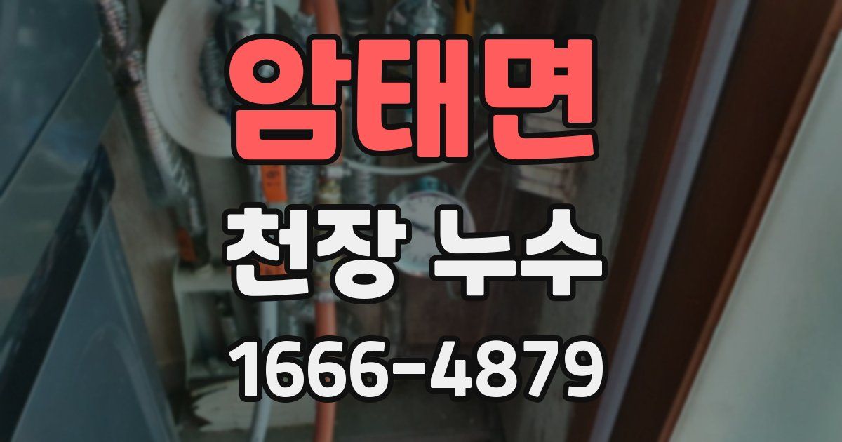암태면 천장 누수