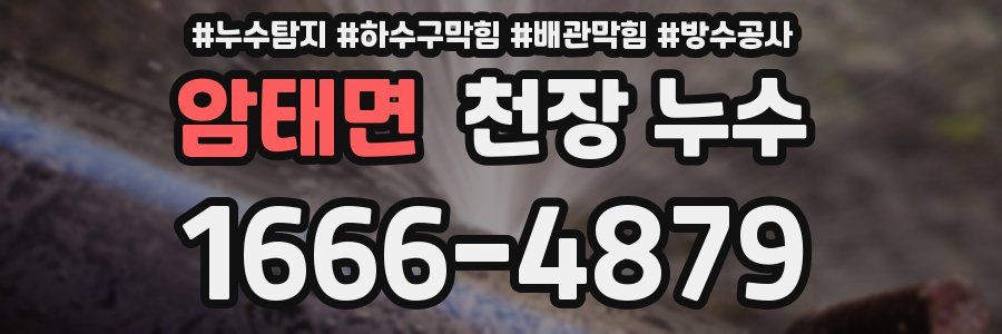 암태면 천장 누수