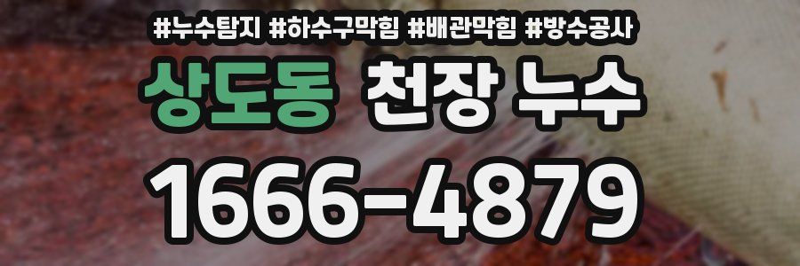 상도동 천장 누수