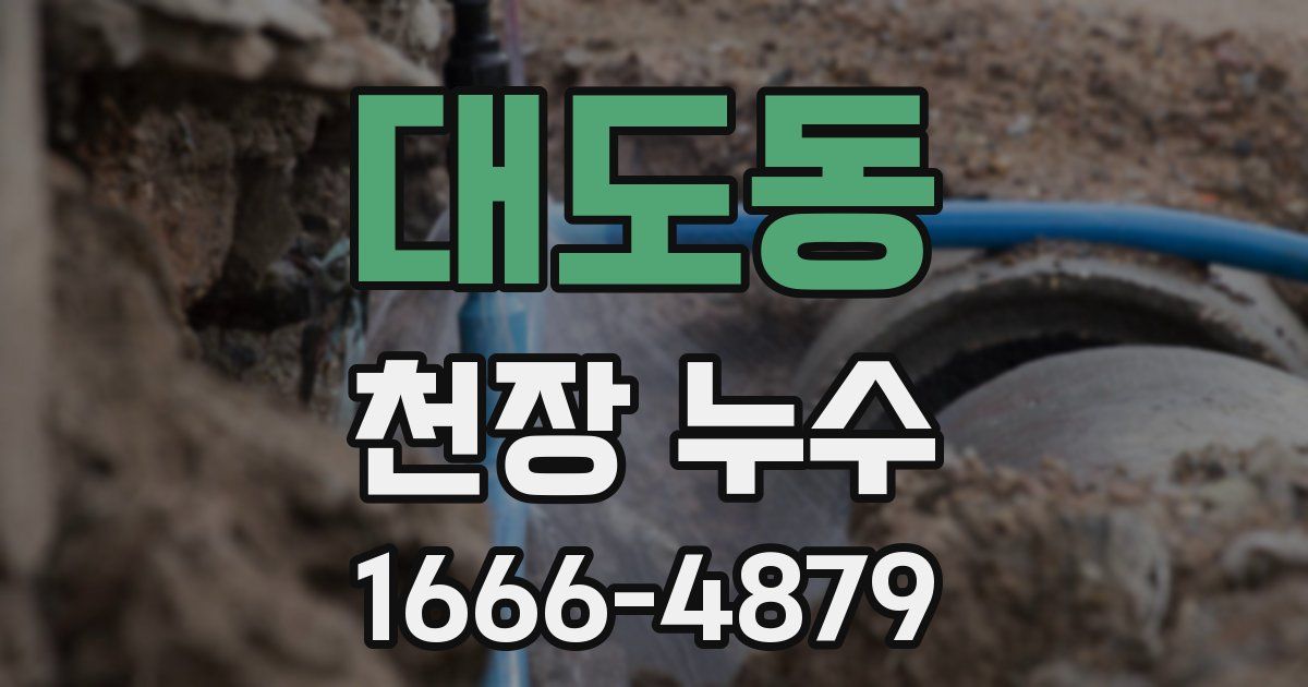 대도동 천장 누수