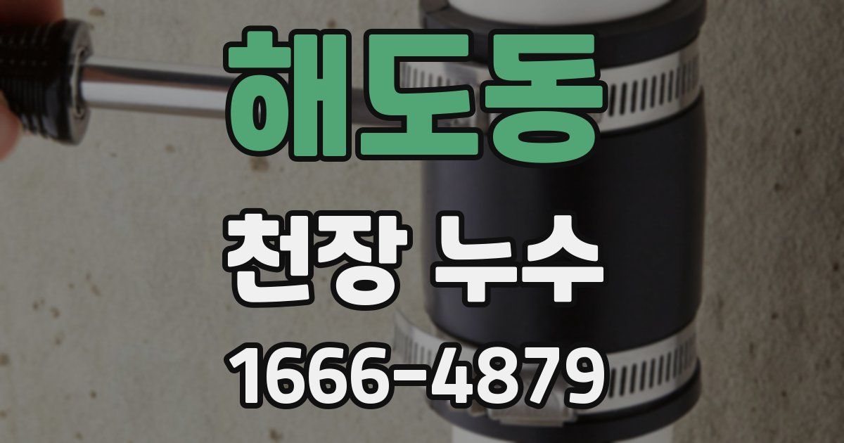 해도동 천장 누수