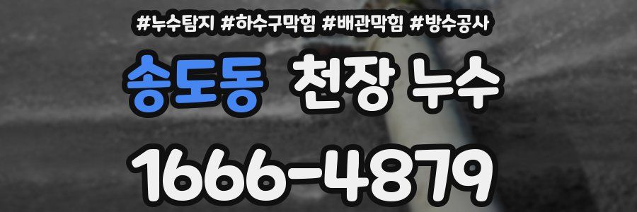 송도동 천장 누수