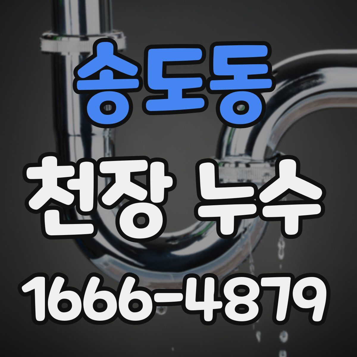 송도동 천장 누수