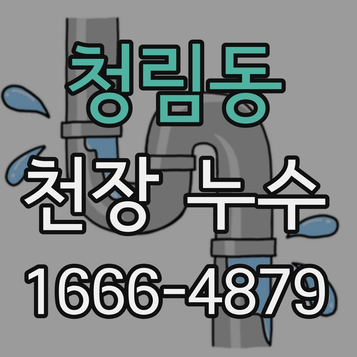 청림동 천장 누수