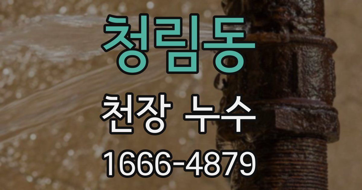 청림동 천장 누수