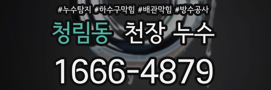 청림동 천장 누수
