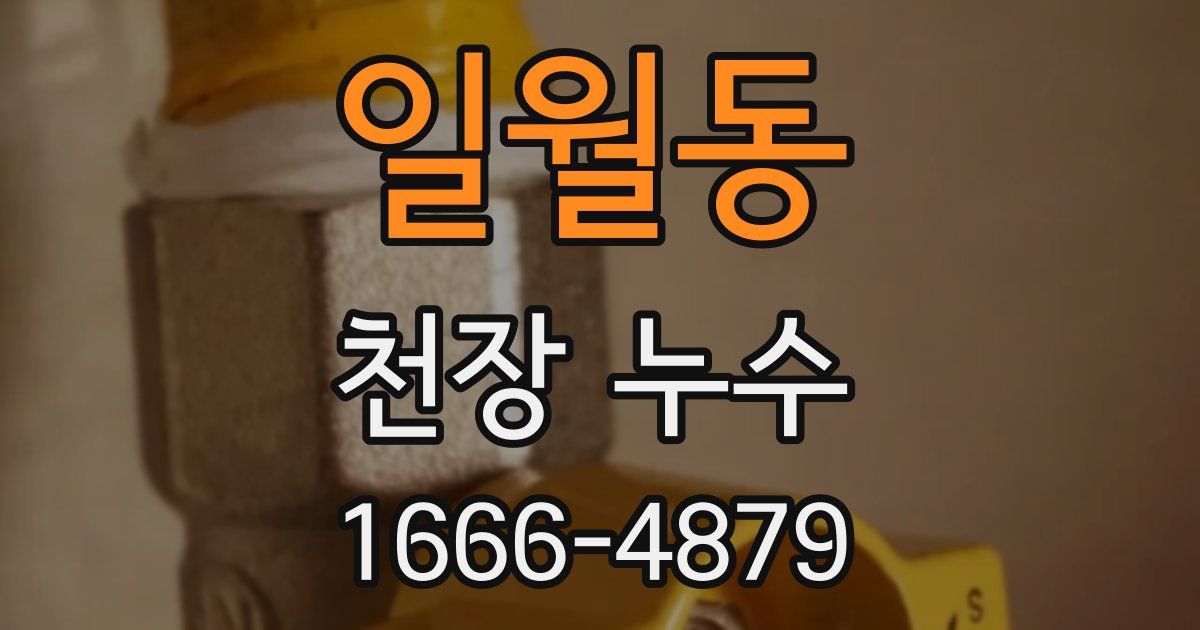 일월동 천장 누수